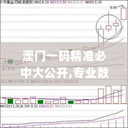 澳门一码精准必中大公开,专业数据解释设想_SBB7.70