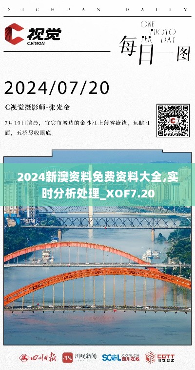 2024新澳资料免费资料大全,实时分析处理_XOF7.20