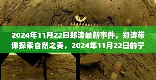 郑涛带你探索自然之美，2024年11月22日的宁静之旅与最新事件