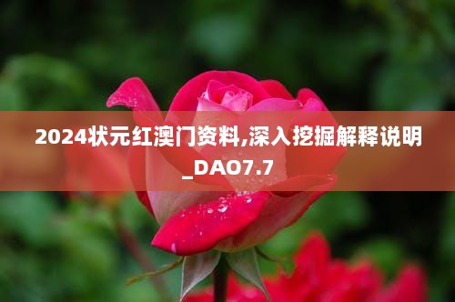 2024状元红澳门资料,深入挖掘解释说明_DAO7.7