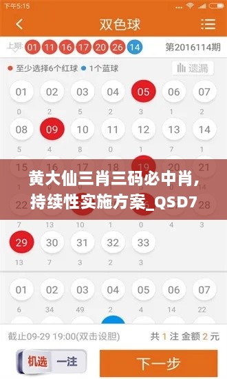 黄大仙三肖三码必中肖,持续性实施方案_QSD7.42