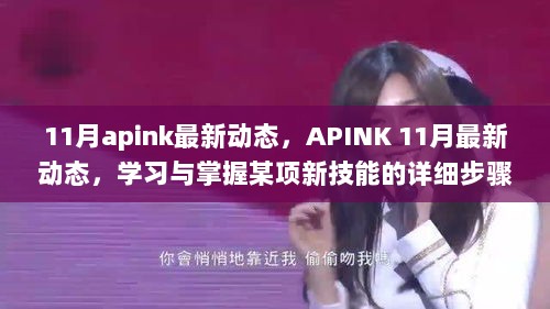 APINK 11月最新动态与学习掌握新技能指南