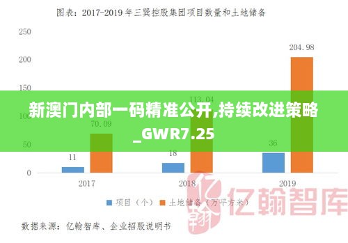 新澳门内部一码精准公开,持续改进策略_GWR7.25