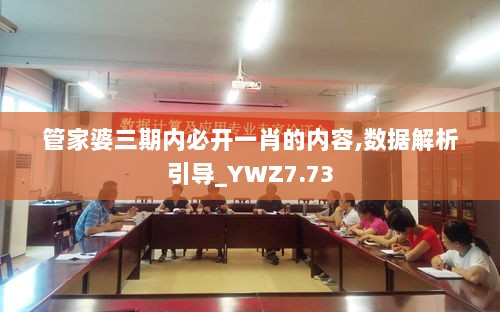 管家婆三期内必开一肖的内容,数据解析引导_YWZ7.73