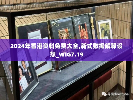 2024年香港资料免费大全,新式数据解释设想_WIG7.19