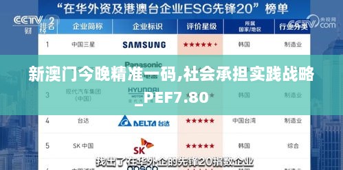 新澳门今晚精准一码,社会承担实践战略_PEF7.80