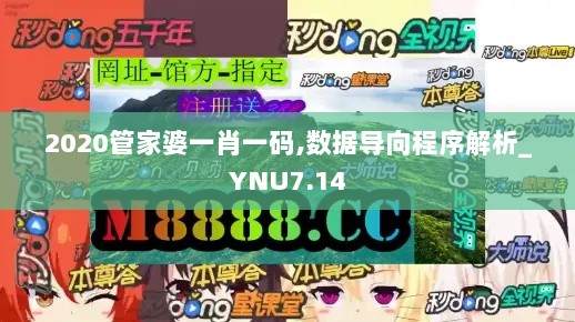 2020管家婆一肖一码,数据导向程序解析_YNU7.14