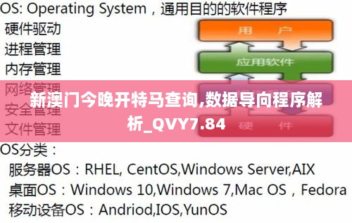 新澳门今晚开特马查询,数据导向程序解析_QVY7.84