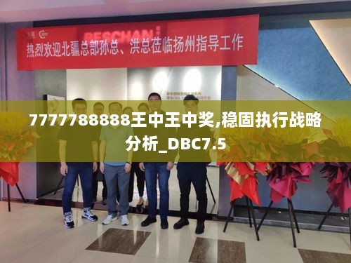 7777788888王中王中奖,稳固执行战略分析_DBC7.5