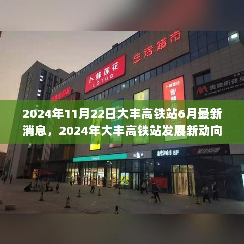 2024年大丰高铁站6月最新消息与发展新动向，建设与影响的双重探讨