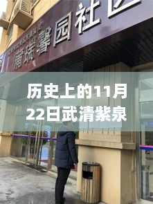 历史上的11月22日，武清紫泉郡的独特魅力与热门动态解析