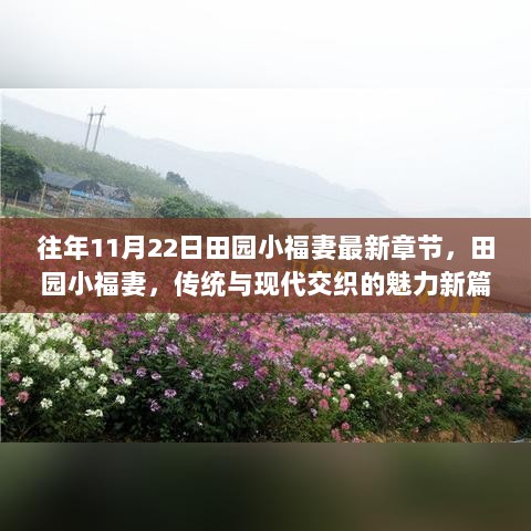 田园小福妻，传统与现代交织的魅力新篇章