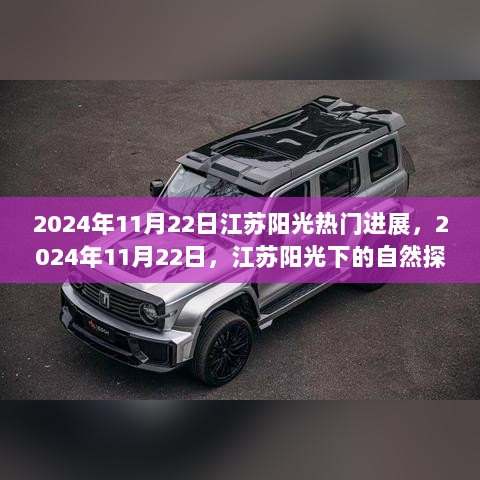 2024年11月22日江苏阳光下的自然探索之旅，寻找内心的宁静与喜悦的进展与体验