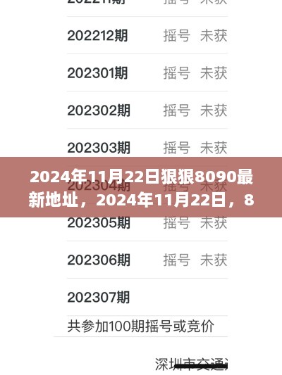 2024年11月22日，8090最新地址使用指南