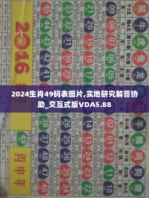 2024生肖49码表图片,实地研究解答协助_交互式版VDA5.88