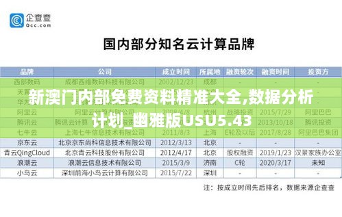 新澳门内部免费资料精准大全,数据分析计划_幽雅版USU5.43