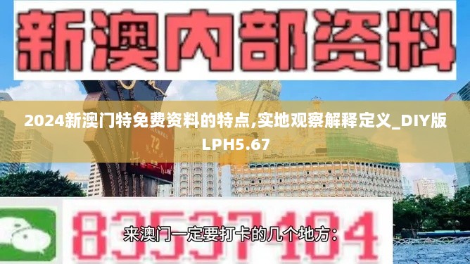 2024新澳门特免费资料的特点,实地观察解释定义_DIY版LPH5.67