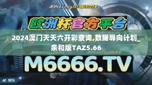 2024澳门天天六开彩查询,数据导向计划_亲和版TAZ5.66