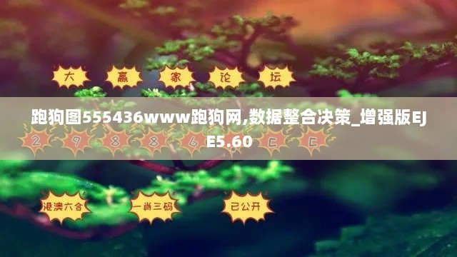 跑狗图555436www跑狗网,数据整合决策_增强版EJE5.60