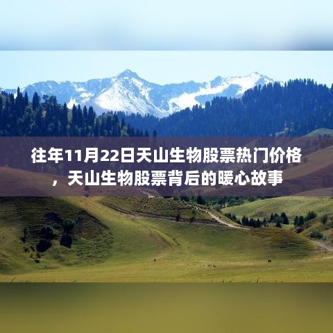 天山生物股票背后的暖心故事，往年11月22日热门价格回顾