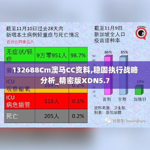 132688Cm澳马CC资料,稳固执行战略分析_精密版XDN5.7