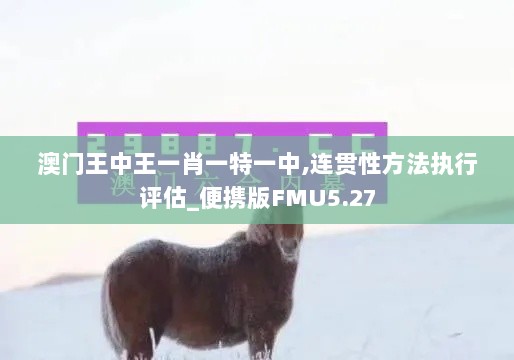 澳门王中王一肖一特一中,连贯性方法执行评估_便携版FMU5.27