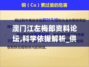 澳门江左梅郎资料论坛,科学依据解析_供给版NUZ5.18