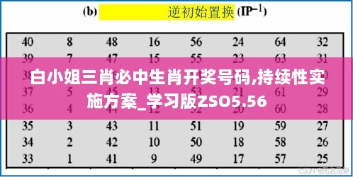 白小姐三肖必中生肖开奖号码,持续性实施方案_学习版ZSO5.56