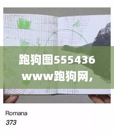 跑狗图555436www跑狗网,建筑学_明亮版GID5.41