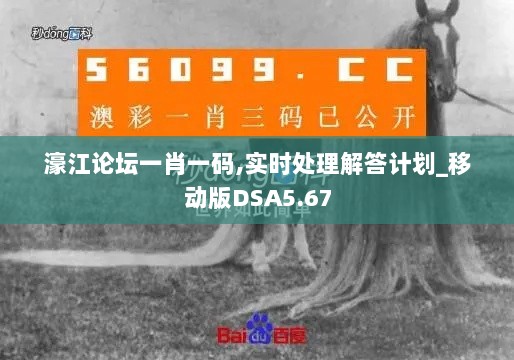 濠江论坛一肖一码,实时处理解答计划_移动版DSA5.67