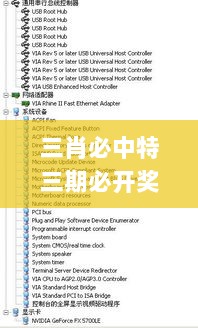 三肖必中特三期必开奖号,多元化诊断解决_趣味版HWJ5.55