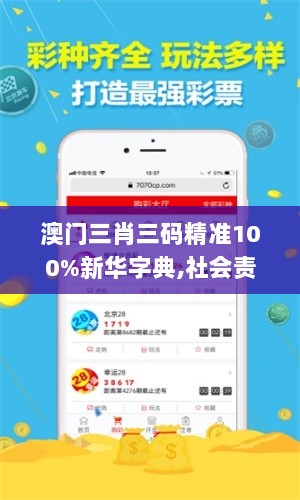 澳门三肖三码精准100%新华字典,社会责任法案实施_专业版XCH5.95