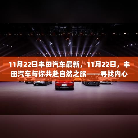 11月22日丰田汽车，共赴自然之旅，寻找内心的平静与喜悦