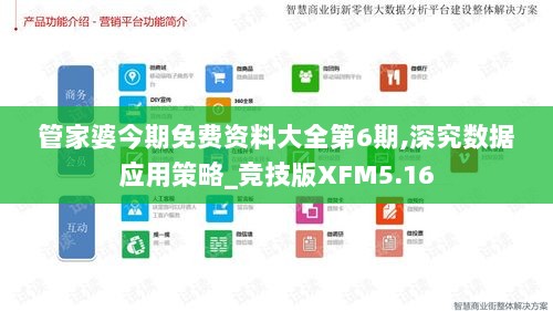 管家婆今期免费资料大全第6期,深究数据应用策略_竞技版XFM5.16