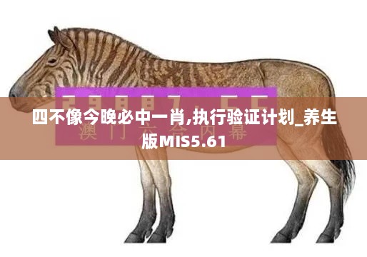 四不像今晚必中一肖,执行验证计划_养生版MIS5.61