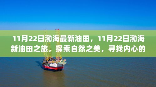 11月22日渤海新油田之旅，探索自然之美，寻找心灵平静的旅程