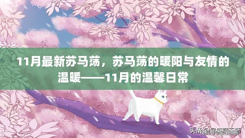 11月苏马荡的暖阳与友情交织的温馨日常