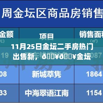 金坛二手房市场热销揭秘，11月25日抢先看热门房源！