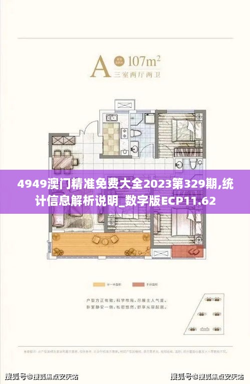 4949澳门精准免费大全2023第329期,统计信息解析说明_数字版ECP11.62