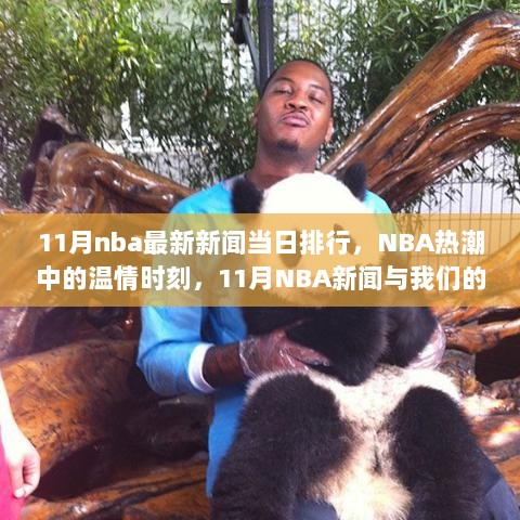 11月NBA新闻排行，热潮中的温情时刻与我们的故事