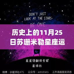 苏珊米勒星座运势揭秘，11月25日的历史焦点与未来展望