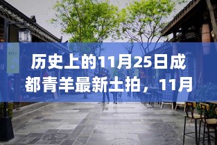 11月25日成都青羊土拍，温馨小故事中的历史时刻