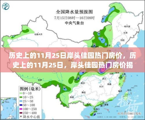 历史上的11月25日，岸头佳园热门房价揭秘与市场分析