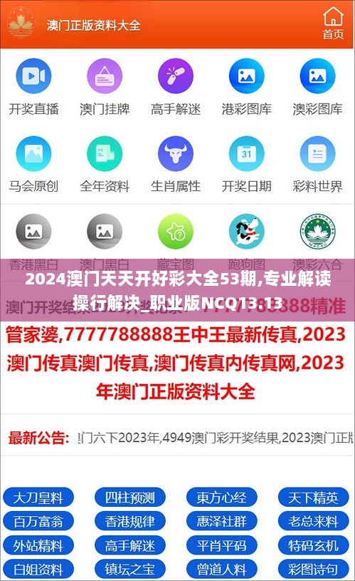 2024澳门天天开好彩大全53期,专业解读操行解决_职业版NCQ13.13