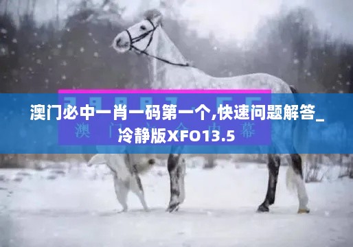 澳门必中一肖一码第一个,快速问题解答_冷静版XFO13.5