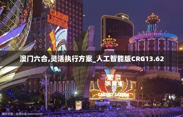 澳门六合,灵活执行方案_人工智能版CRG13.62