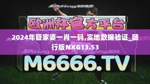 2024年管家婆一肖一码,实地数据验证_随行版NXG13.53