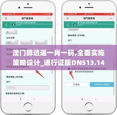 澳门醉逍遥一肖一码,全面实施策略设计_通行证版DNS13.14