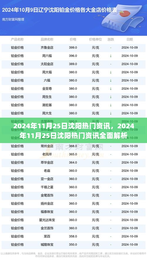 2024年11月25日沈阳热门资讯全面解析与解读