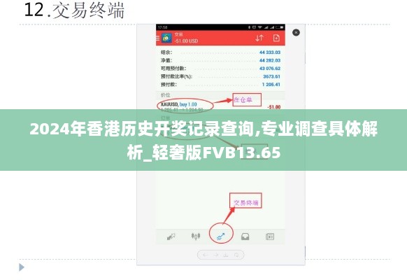 2024年香港历史开奖记录查询,专业调查具体解析_轻奢版FVB13.65